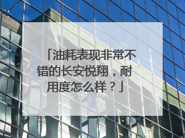 油耗表现非常不错的长安悦翔，耐用度怎么样？