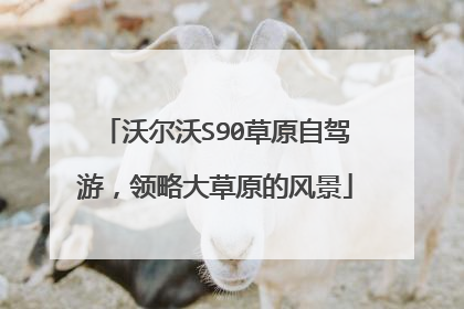 沃尔沃S90草原自驾游，领略大草原的风景