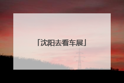 沈阳去看车展