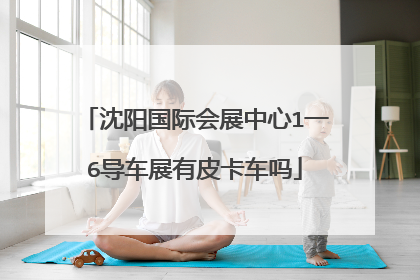沈阳国际会展中心1一6导车展有皮卡车吗