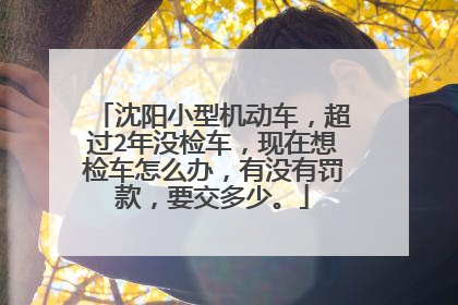沈阳小型机动车，超过2年没检车，现在想检车怎么办，有没有罚款，要交多少。