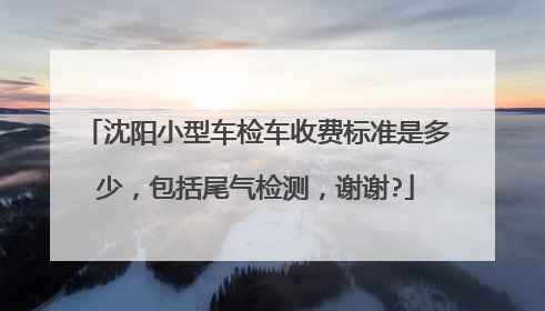 沈阳小型车检车收费标准是多少，包括尾气检测，谢谢?