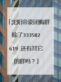 沈阳帝豪团购群除了333582619 还有其它的群吗？