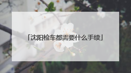 沈阳检车都需要什么手续