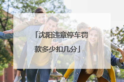 沈阳违章停车罚款多少扣几分