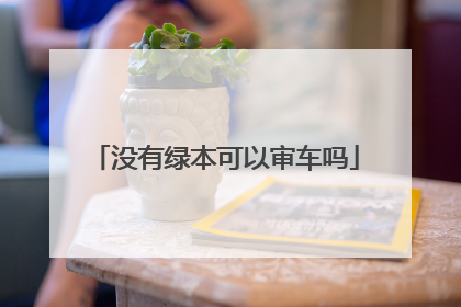 没有绿本可以审车吗