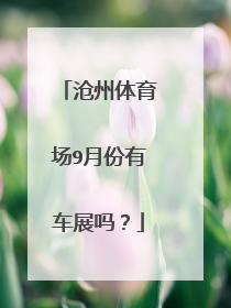 沧州体育场9月份有车展吗？