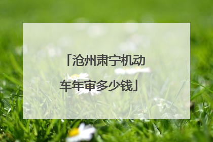 沧州肃宁机动车年审多少钱