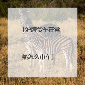 沪牌货车在常熟怎么审车