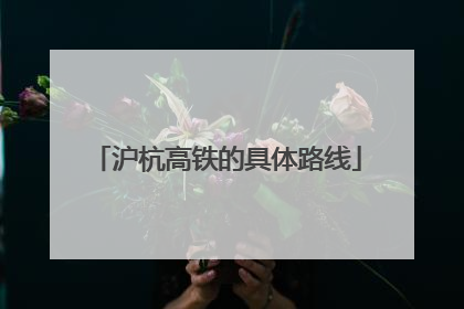 沪杭高铁的具体路线