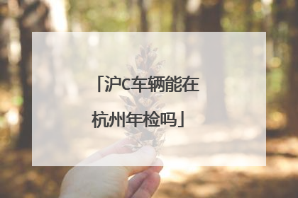沪C车辆能在杭州年检吗