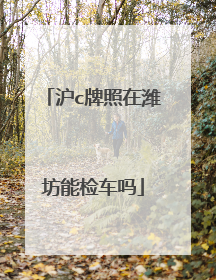 沪c牌照在潍坊能检车吗