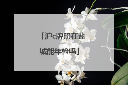 沪c牌照在盐城能年检吗