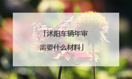 沭阳车辆年审需要什么材料