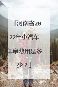 河南省2022年小汽车年审费用是多少？