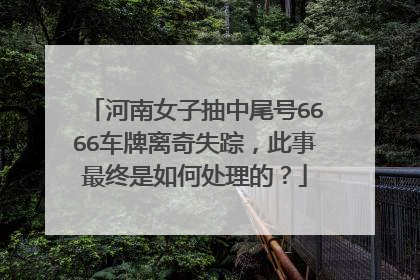 河南女子抽中尾号6666车牌离奇失踪，此事最终是如何处理的？