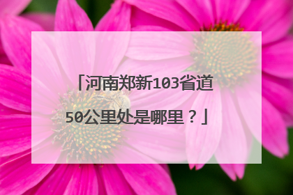 河南郑新103省道50公里处是哪里？