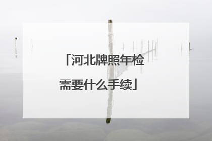 河北牌照年检需要什么手续