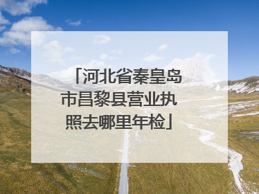 河北省秦皇岛市昌黎县营业执照去哪里年检