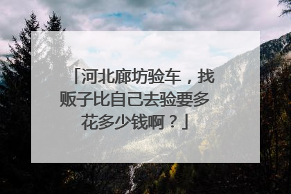 河北廊坊验车，找贩子比自己去验要多花多少钱啊？