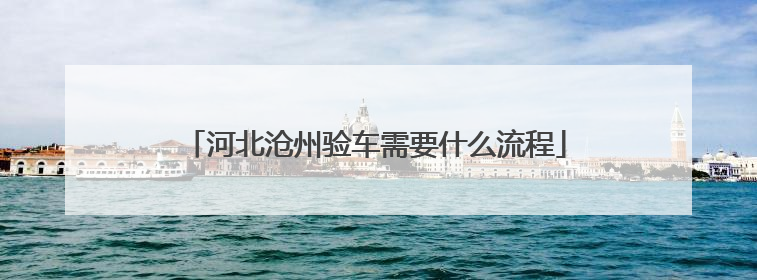 河北沧州验车需要什么流程