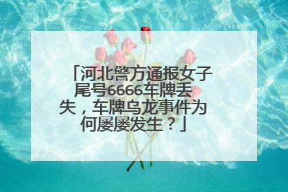 河北警方通报女子尾号6666车牌丢失，车牌乌龙事件为何屡屡发生？