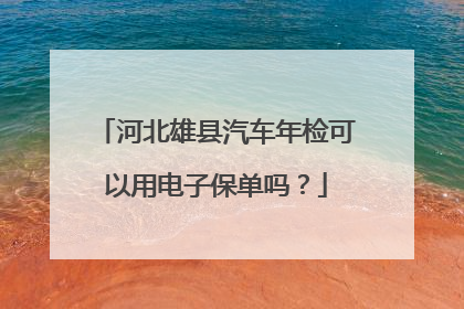 河北雄县汽车年检可以用电子保单吗？
