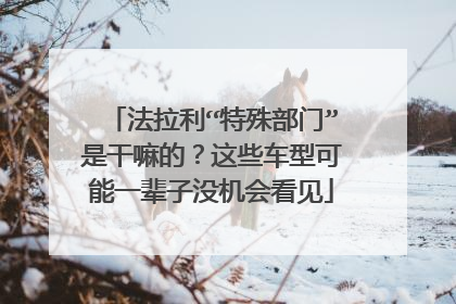 法拉利“特殊部门”是干嘛的？这些车型可能一辈子没机会看见