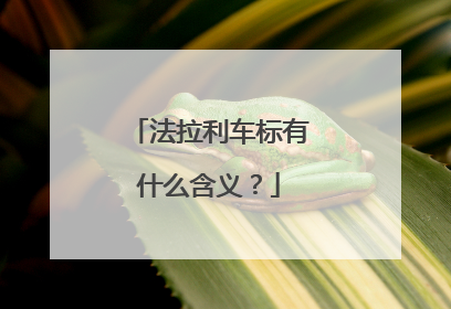 法拉利车标有什么含义？