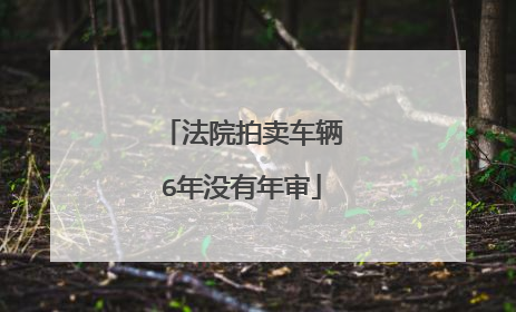 法院拍卖车辆6年没有年审