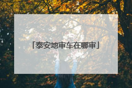泰安地审车在哪审