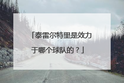泰雷尔特里是效力于哪个球队的？