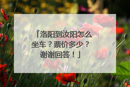 洛阳到汝阳怎么坐车？票价多少？谢谢回答！