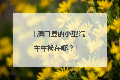洞口县的小型汽车车检在哪？