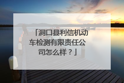 洞口县利信机动车检测有限责任公司怎么样？