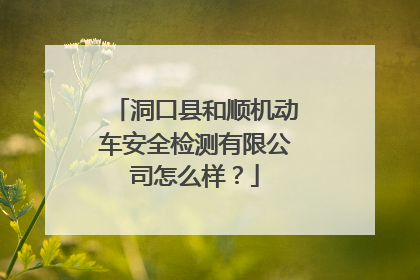 洞口县和顺机动车安全检测有限公司怎么样？