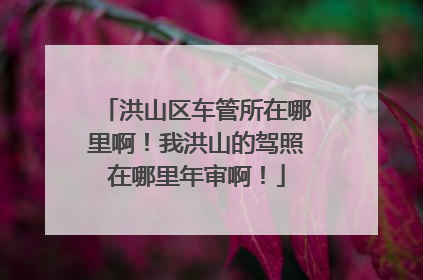 洪山区车管所在哪里啊！我洪山的驾照在哪里年审啊！