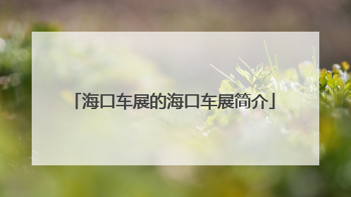 海口车展的海口车展简介