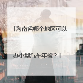 海南省哪个地区可以办小型汽车年检？