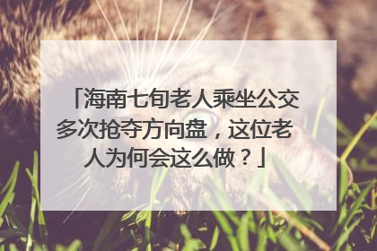 海南七旬老人乘坐公交多次抢夺方向盘，这位老人为何会这么做？
