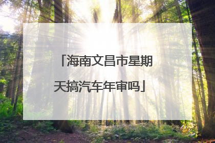 海南文昌市星期天搞汽车年审吗