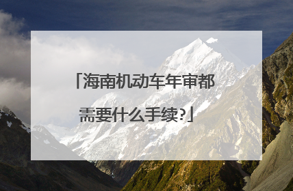 海南机动车年审都需要什么手续?
