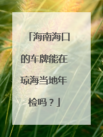 海南海口的车牌能在琼海当地年检吗？