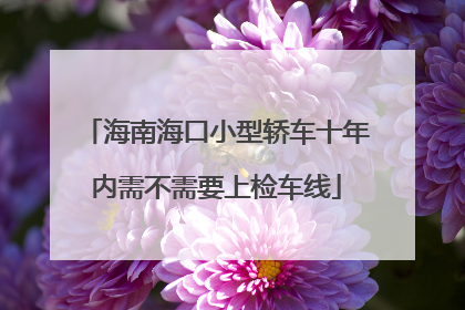 海南海口小型轿车十年内需不需要上检车线
