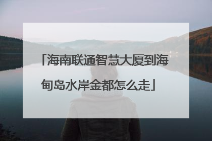 海南联通智慧大厦到海甸岛水岸金都怎么走