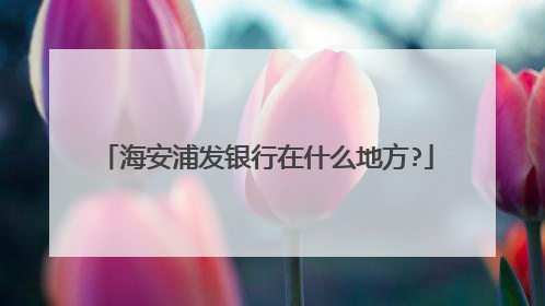 海安浦发银行在什么地方?