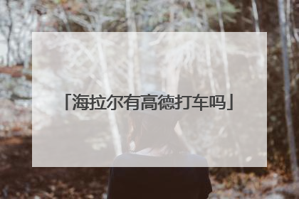 海拉尔有高德打车吗