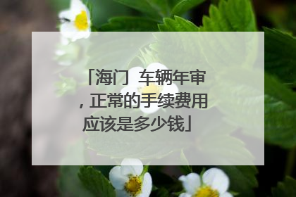 海门 车辆年审，正常的手续费用应该是多少钱