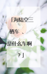 海陆空三栖车 、 是什么车啊？