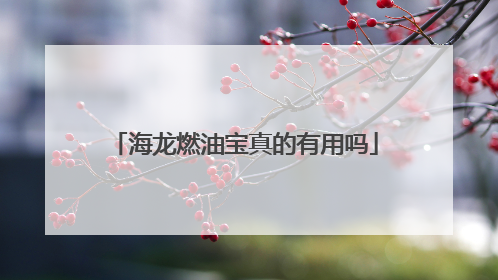 海龙燃油宝真的有用吗